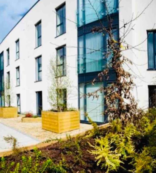 Ormeau Road Stylish Double Bedroom Luxury Apartment Belfast Dış mekan fotoğraf